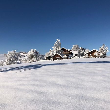 Ferienwohnung Aigisblick Mit Pool Und Sauna, Direkt Am Skihang Міссен-Вільгамс Екстер'єр фото