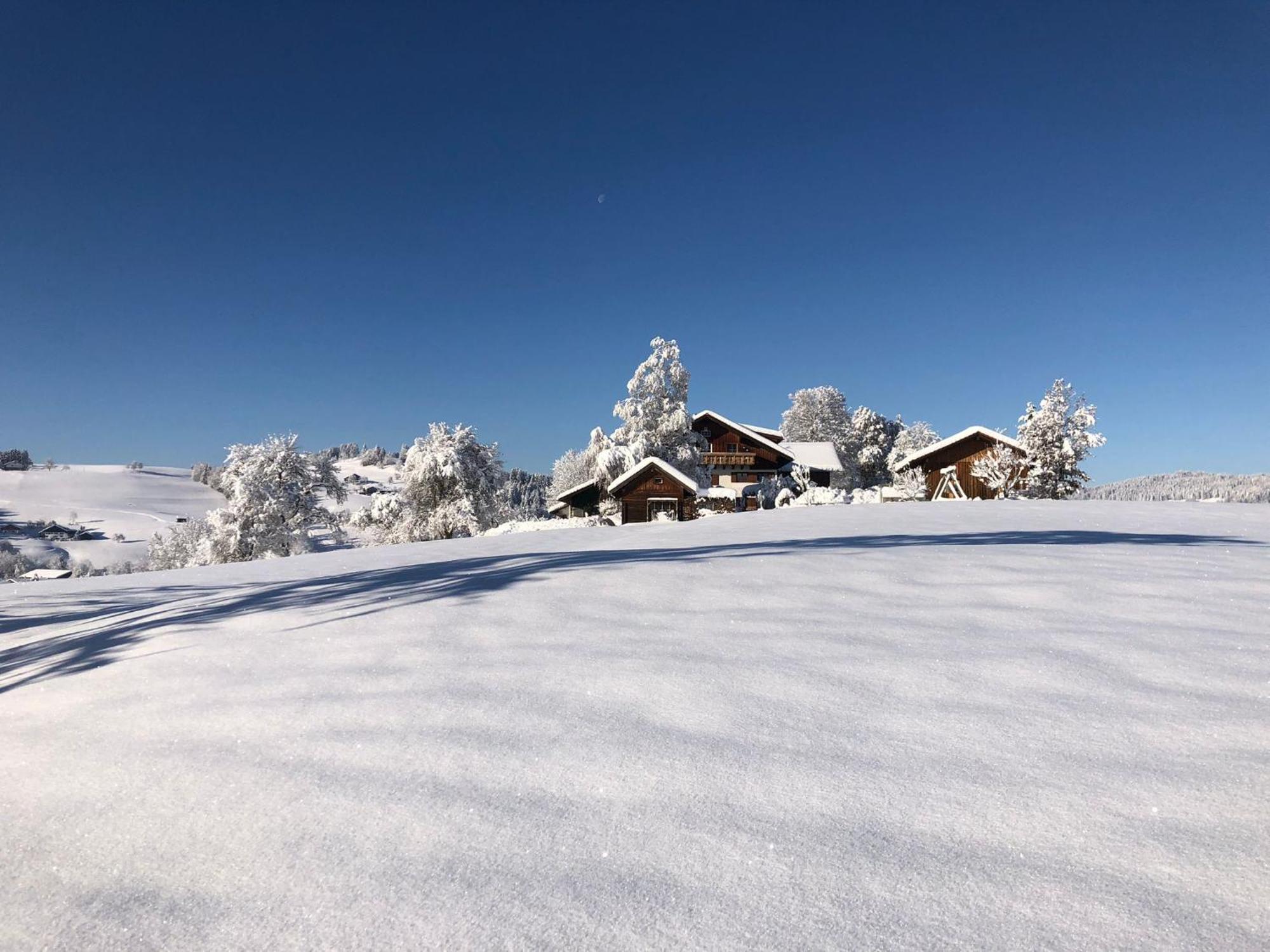 Ferienwohnung Aigisblick Mit Pool Und Sauna, Direkt Am Skihang Міссен-Вільгамс Екстер'єр фото